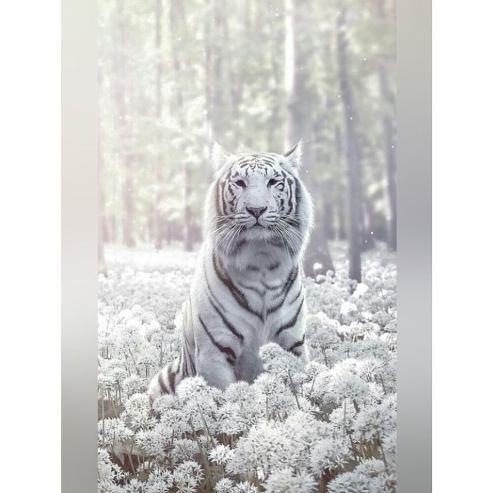 Custom Fridge Magnet White Tiger Home Kitchen Decor